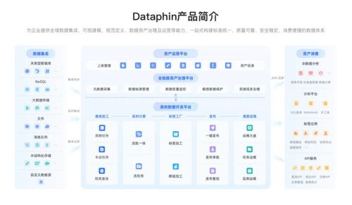 企業數據系統建設 治理價值凸顯，2025主流產品與服務全景展望